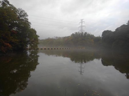 大安トラウトレイク 釣果
